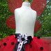 Lady Bug Tutu with Wings