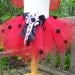 Lady Bug Tutu with Wings