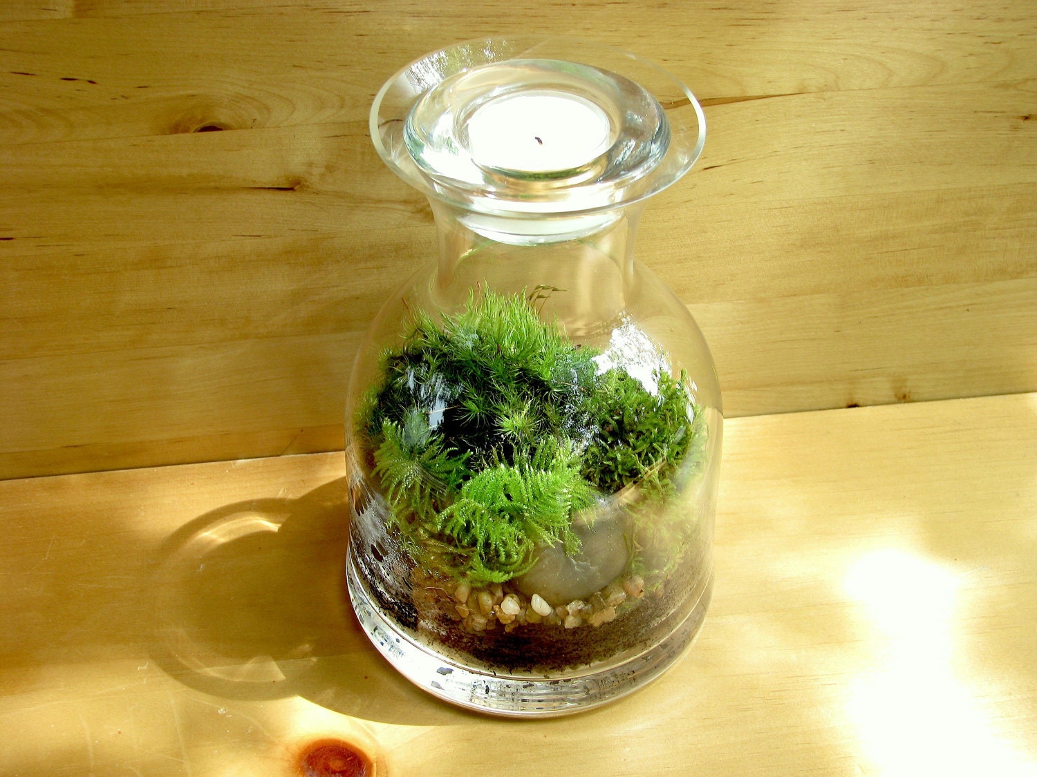 Crystal Clear Glass Candle Moss Terrarium