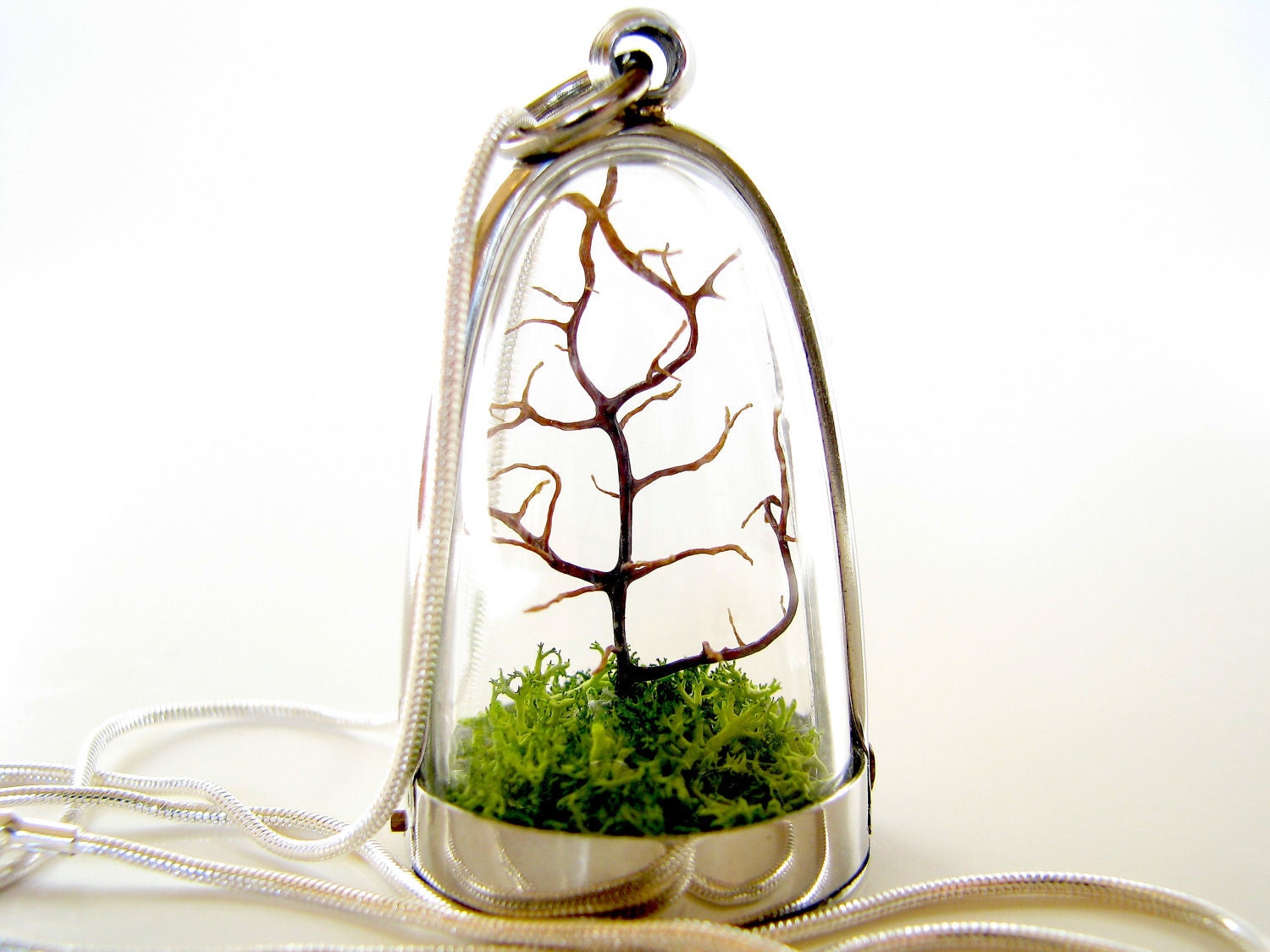 Free US Shipping: Modern Tree and Moss Terrarium Necklace