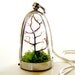 Free US Shipping: Modern Tree and Moss Terrarium Necklace