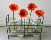 Vintage Wire Rack with Bottles