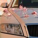 Single Flowers Wedding Car Decoration -Silk Orchids Real Touch