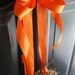 Custom Listing for rbartar-Primitive Fall Pumpkin Wreaths