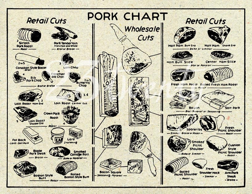 Vintage pork butcher chart, meat illustration 18x24