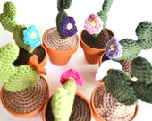 Custom Design Your Own Prickly Pear Cactus