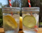 Mason Drink Lids / Ready for your Straw / Set of 20