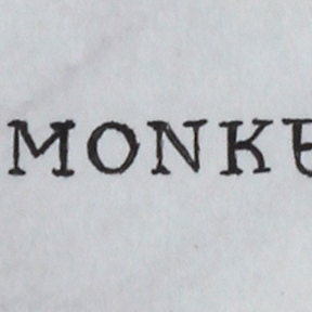 MONKEY Baby Animal 4"x4" Unframed Art Print for baby / infant nursery, or toddler or child's room