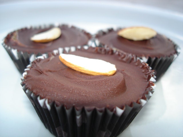 Organic Chocolate Peanut Butter Truffles Candy - Topped with a Slivered Almond- 12 Piece Box