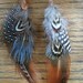 Feather Earrings Check 1 - 2