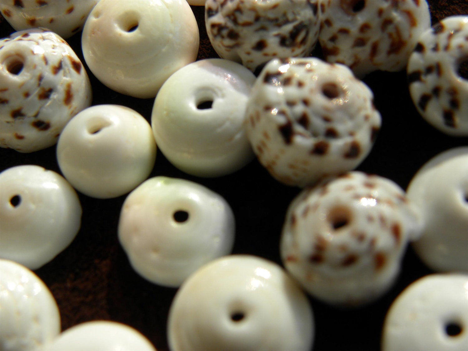 Hawaiian Puka shells, 30 shells mixed 8-10mm