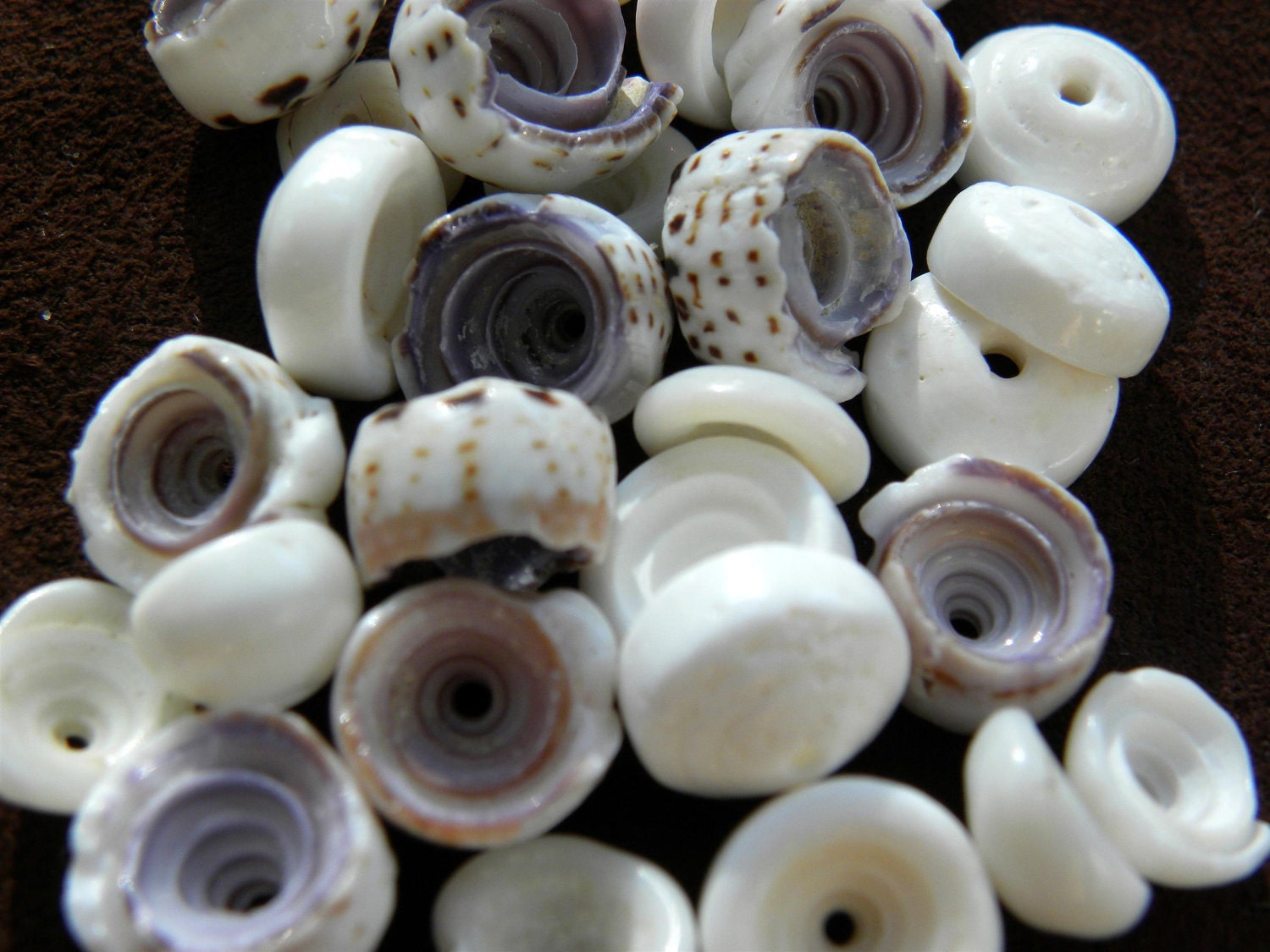 Hawaiian Puka shells, 30 shells mixed 8-10mm