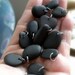 Alaska river stone charms, beads, pendants, 13 stones, river rocks, drilled, Coupon sale