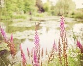 Paris Photograph - Monet's Lupins à Giverny - Vintage fine art travel photography Mounted Print
