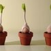 Baby Sprout felt ornament / Set of three
