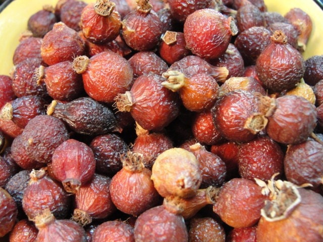 ROSE HIPS Cascade Mountain Wildcrafted 1/4 lb. Potpourri Tea Making