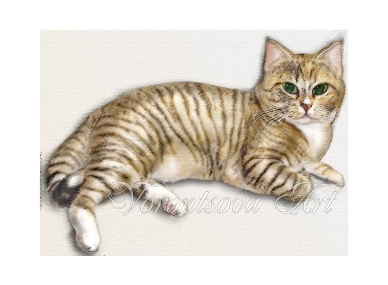 Tabby cat - Digital Collage Sheet -  kitty - ACEO atc - gift tags - Printable Download