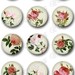 Roses Images Bottlecap. 807