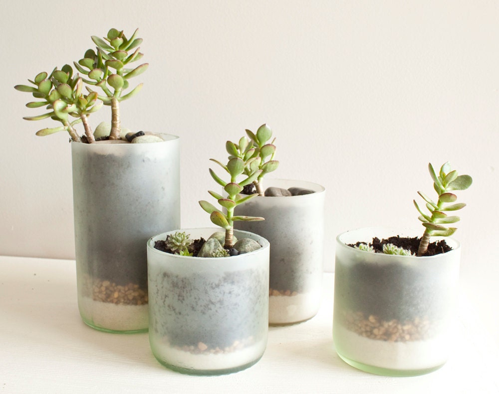 Recycled Wine Bottle Succulent Planters - Size Small