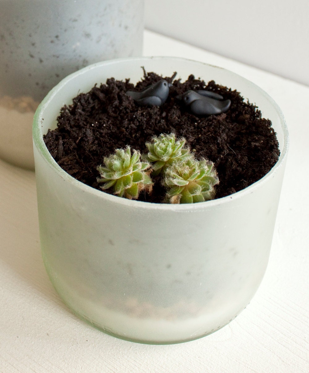Recycled Wine Bottle Succulent Planters - Size Small