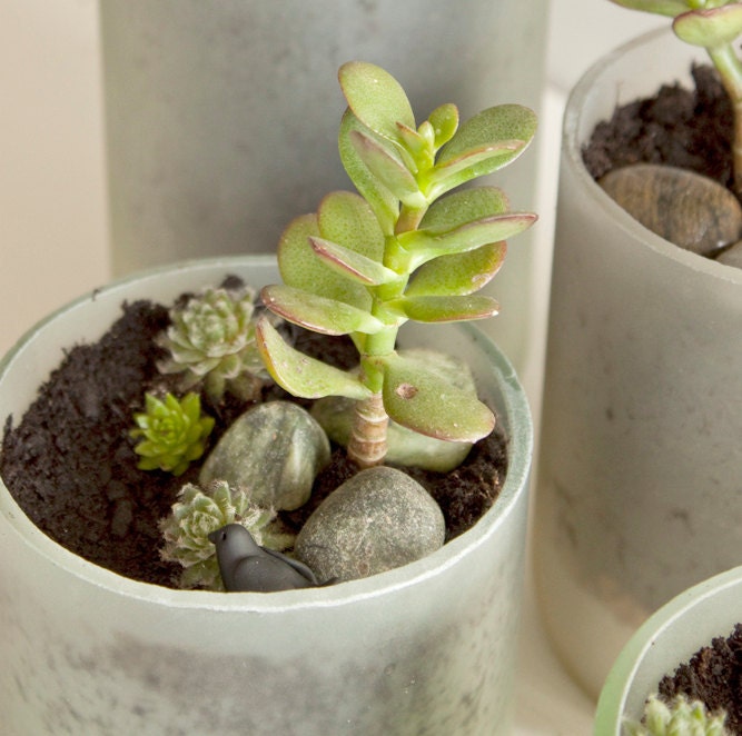 Recycled Wine Bottle Succulent Planters - Size Small