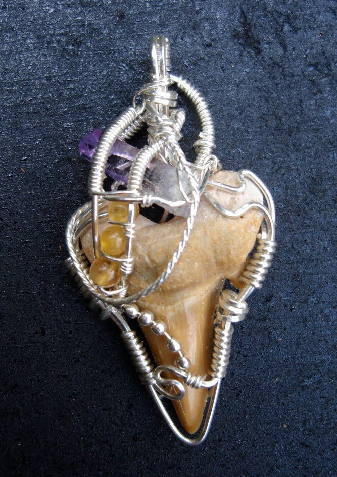 RESERVED// Sterling Silver Fossiized Sharks Tooth and Vera Cruz Amethyst Pendant