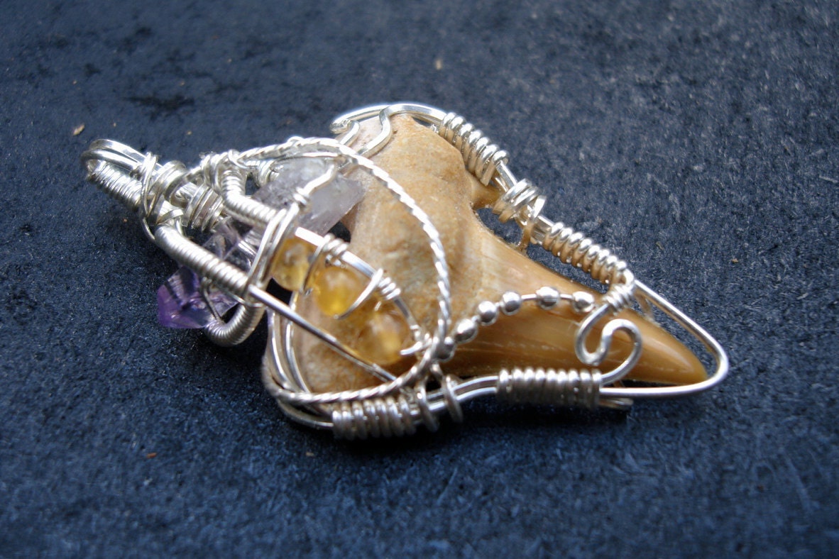 RESERVED// Sterling Silver Fossiized Sharks Tooth and Vera Cruz Amethyst Pendant