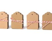 Kraft tags . small blank gift tags . 200 die cut  tags . 1.25 by 1.75 inches .  brown paper tags . small gift embellishments