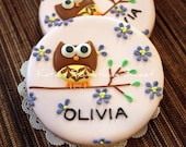 Owl Sugar Cookies - Owl Cookies - Personalized Owls - Party Favors Kids Birthday - Pink Owl Birthday