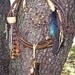 Dream Catcher Grapevine Natural
