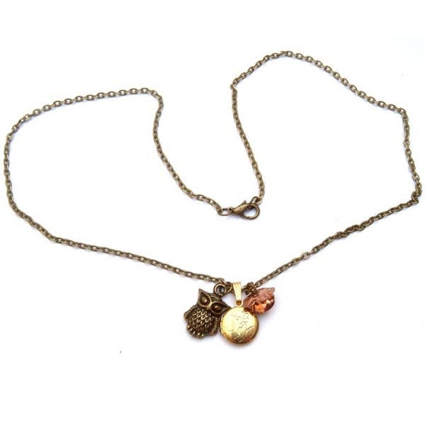 Antiqued Brass Owl Locket Flower Necklace