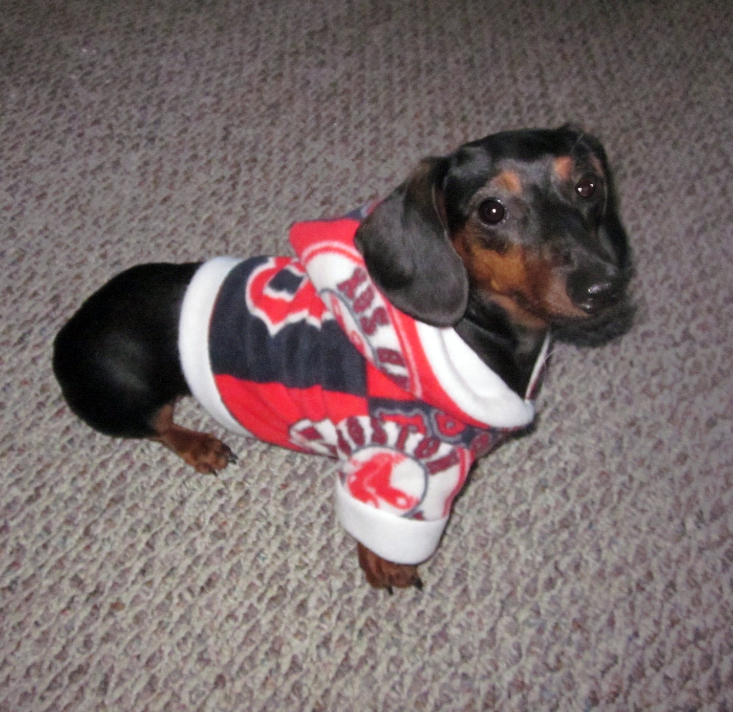 Boston Redsox MLB Dog Sports Fleece Hoodie FREE SHIPPING
