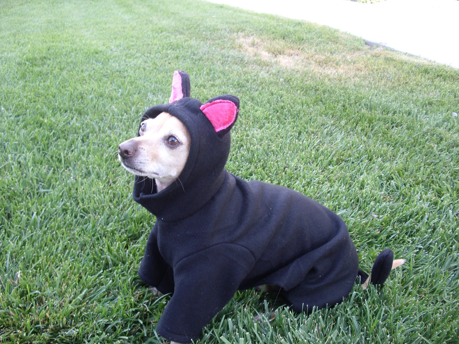 Black Cat Dog Costume ALL SIZES AVAILABLE