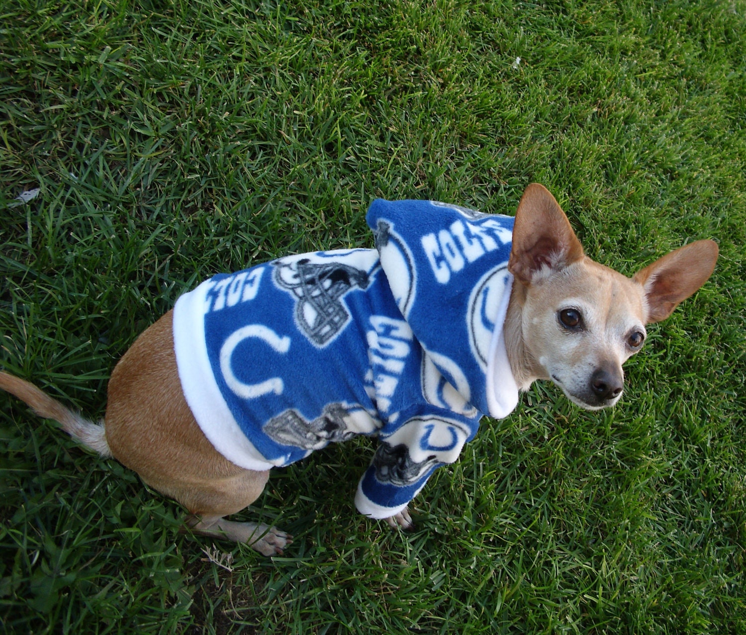 Indianapolis Colts NFL Dog Hoodie FREE SHIPPING