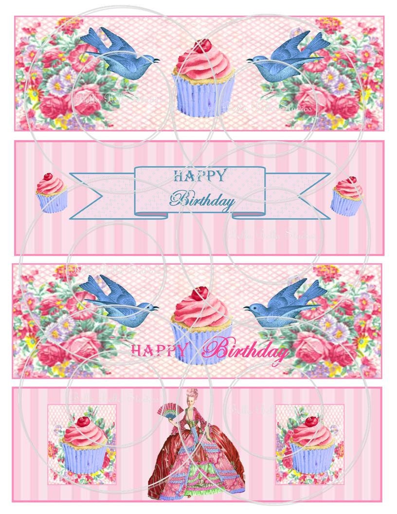 Marie Antoinette Let Them Eat Cake, Happy Birthday PRINTABLE DRINK WRAPS - Instant Download by Bella Bella Studios Il_570xn