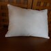 Pillow form - 12X16