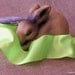 Wired Edged Satin Ribbon 2 1/2" Lime Green THREE YARDS - Offray Contessa Lemongrass
