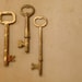 Skeleton Keys - Four Vintage Skeleton Keys, Rustic Industrial Steampunk Home Decor, Fine Art Photography 8x10" Matte Print, Ready to Ship