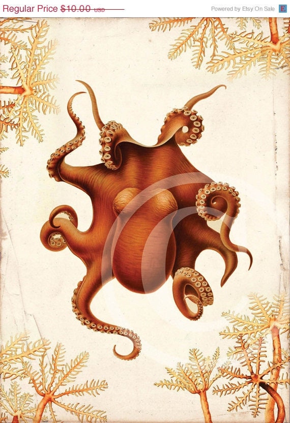 Antique Octopus Art Collage Print - 5 x 7 - Natural History - Giant Pacific Octopus