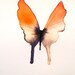 white, black and orange butterfly  with green 5x7"