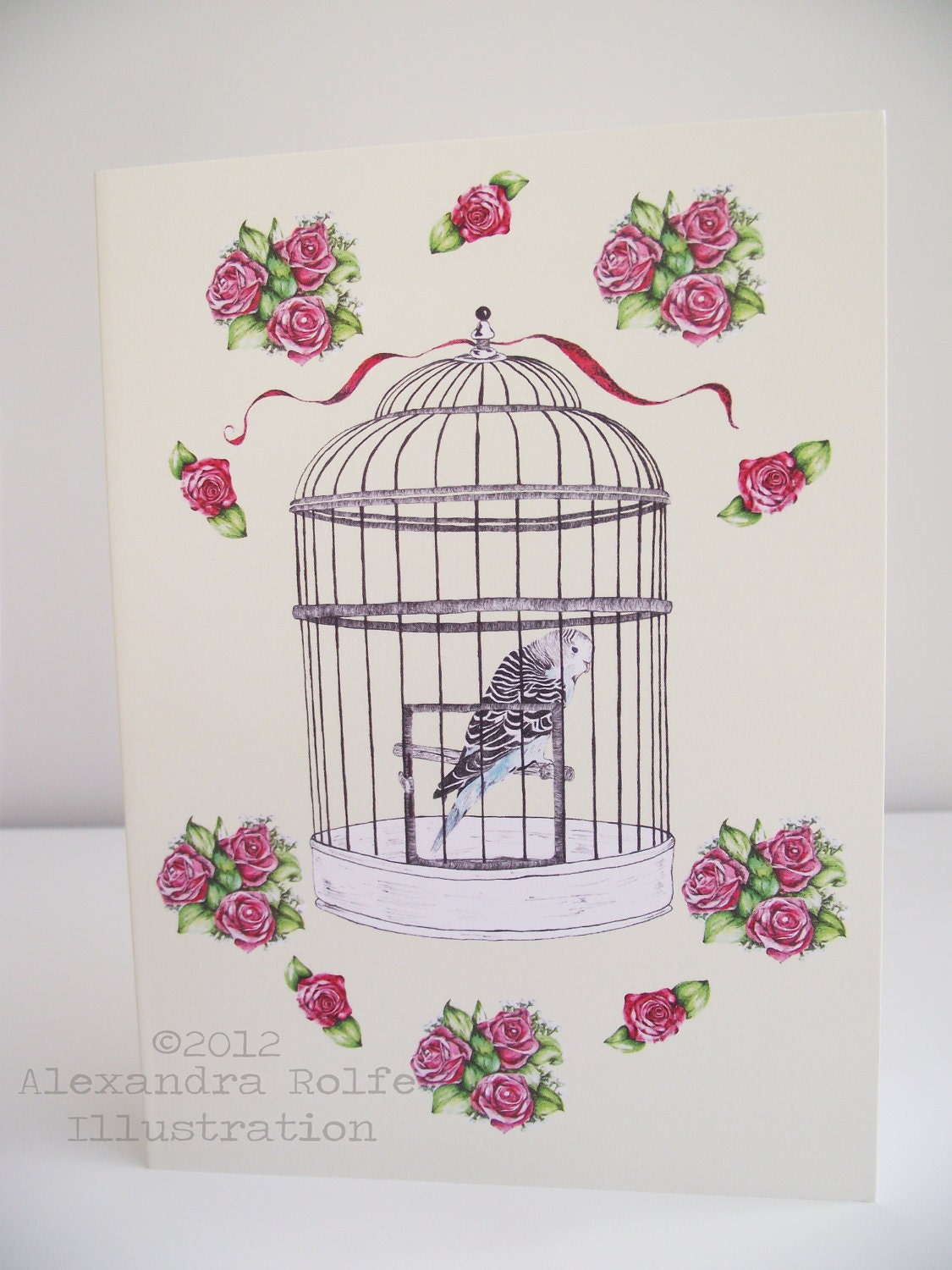 Bird Cage Illustration
