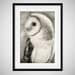 Barn Owl Photography / dreamy mysterious fantasy folk / black white woodland creature / 8x12 photograph print / "Breathe Me"