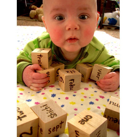 Genius Baby Blocks - Wooden Foreign Language Numbers - Pyrography