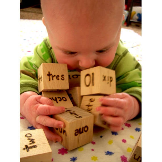 Genius Baby Blocks - Wooden Foreign Language Numbers - Pyrography