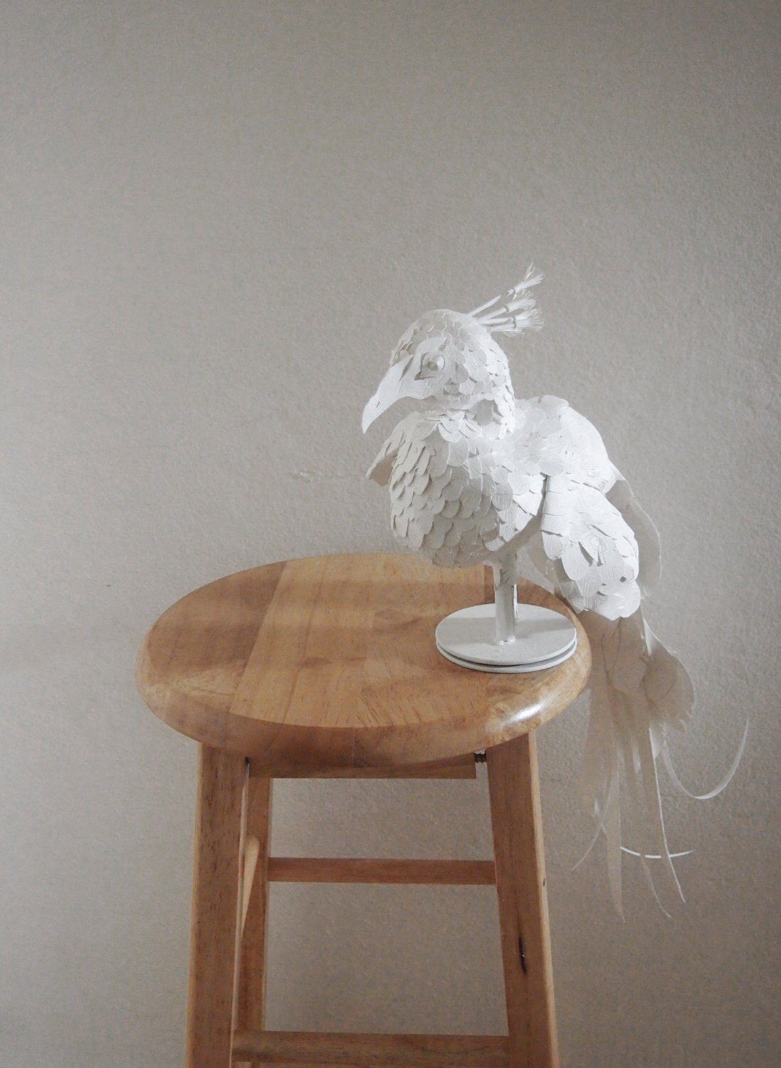 Paperdermy Peacock