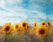 Bohemian Sunflower Flower Photograph Art Print, France Provence Flowers Country Rustic Dreamy Photography Art Print