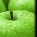 White Chocolate Apple - White Chocolate with Semi Sweet Chocolate Drizzle - 1