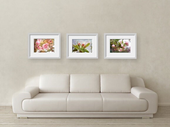 Sakura blossom photograph, fine art, cherry petal, white, pink, spring, delicate, nature, 12x8, Giclée - titled: Sakura I