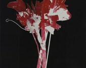 Bruise: A Bloody Beautiful Valentine's Arrangement