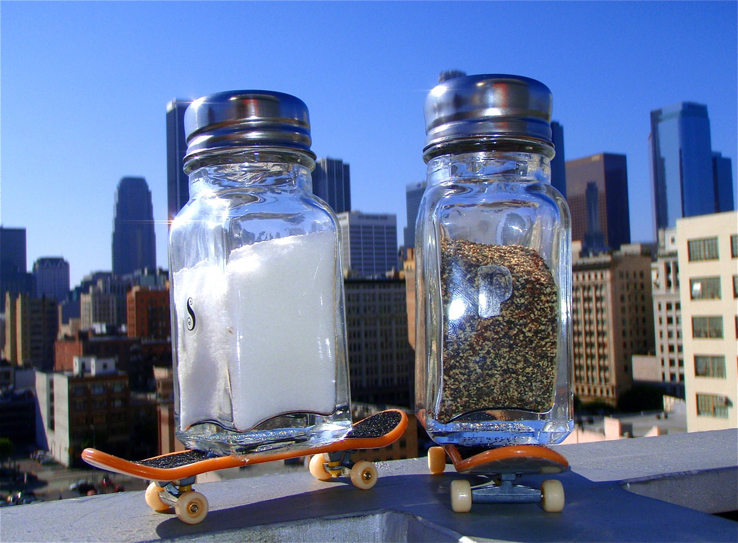 Tech Deck Skateboard Salt & Pepper Shakers that REALLY ROLL - Surfer / Skater Gift